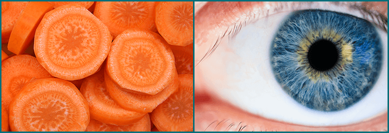 Foods that look like your body parts they are good for